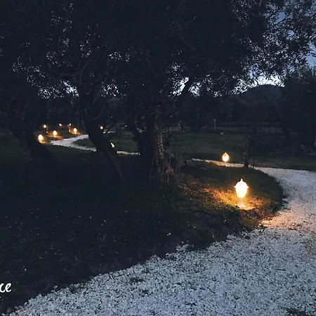 Fattoria Animaluce Pieve di Santa Luce