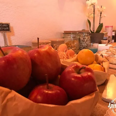 Farm stay Fattoria Animaluce