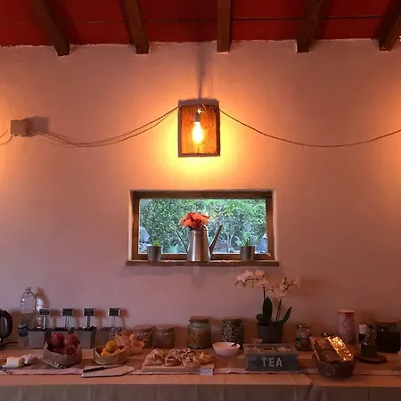 Fattoria Animaluce * Pieve di Santa Luce